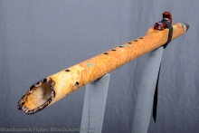 Brown Mallee Burl Native American Flute, Minor, Mid A-4, #L20A (8)